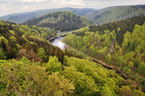 Widok z wieży na Zamku Grodno.